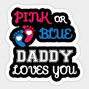 Pink or Blue Daddy Loves You Sticker